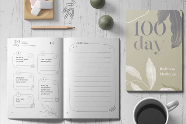 100 Day Wellness Challenge (Paperback)