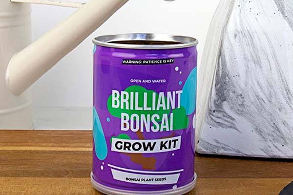 Bonsai Grow Tin