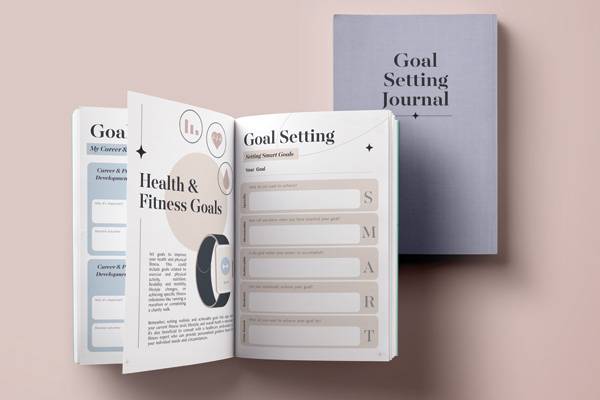 The Goal Setting Journal (Paperback)