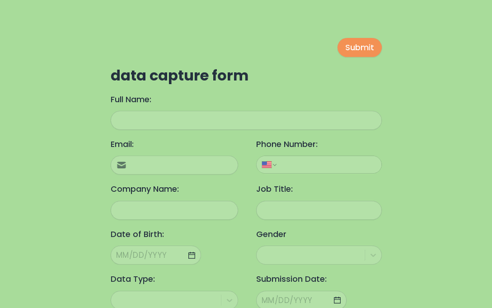 Data Capture Form Template template preview