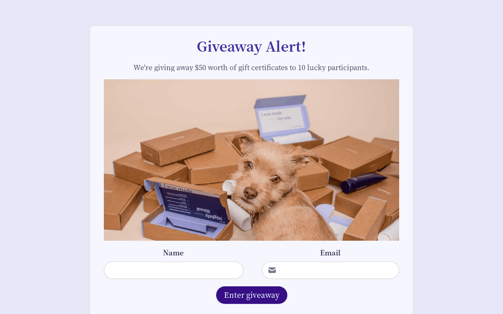 Giveaway Entry Form template preview