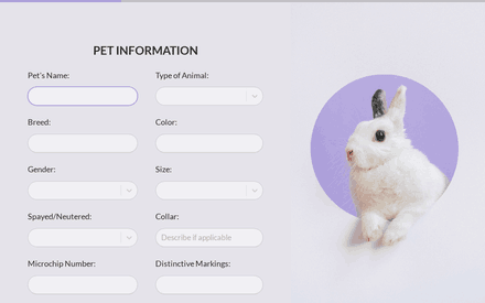 Pet form page preview