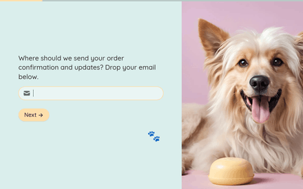 Email form page preview