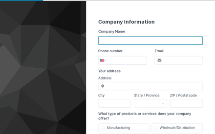 Company Information form page preview