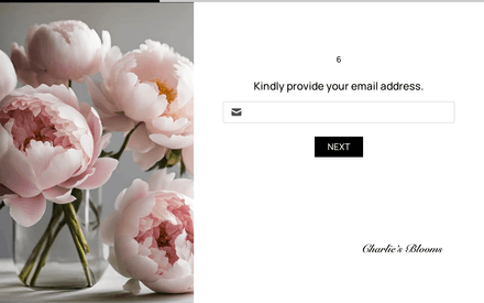 Email form page preview