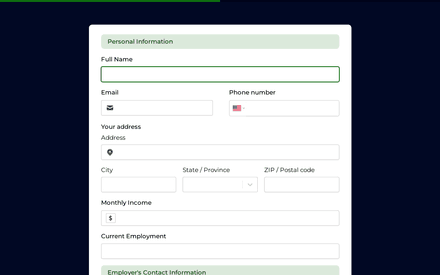 Application form page preview