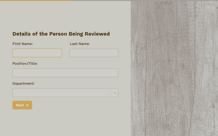 Details of person being reviewed form page preview