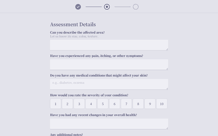 Assessment form page preview