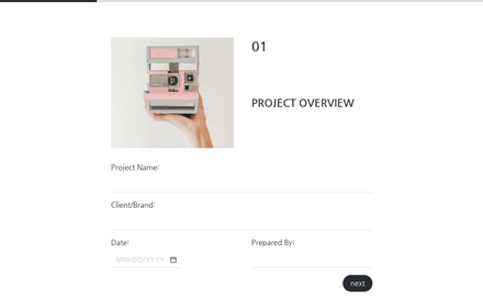 Project form page preview