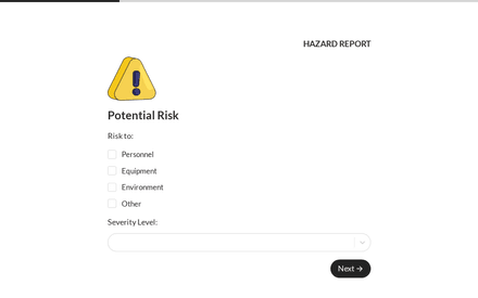 Risk form page preview