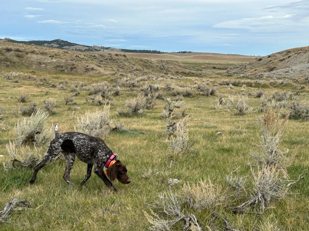 user_619bf01b-8758-4e54-b55b-d9319e6622fb_time_1762351124387_2.jpeg