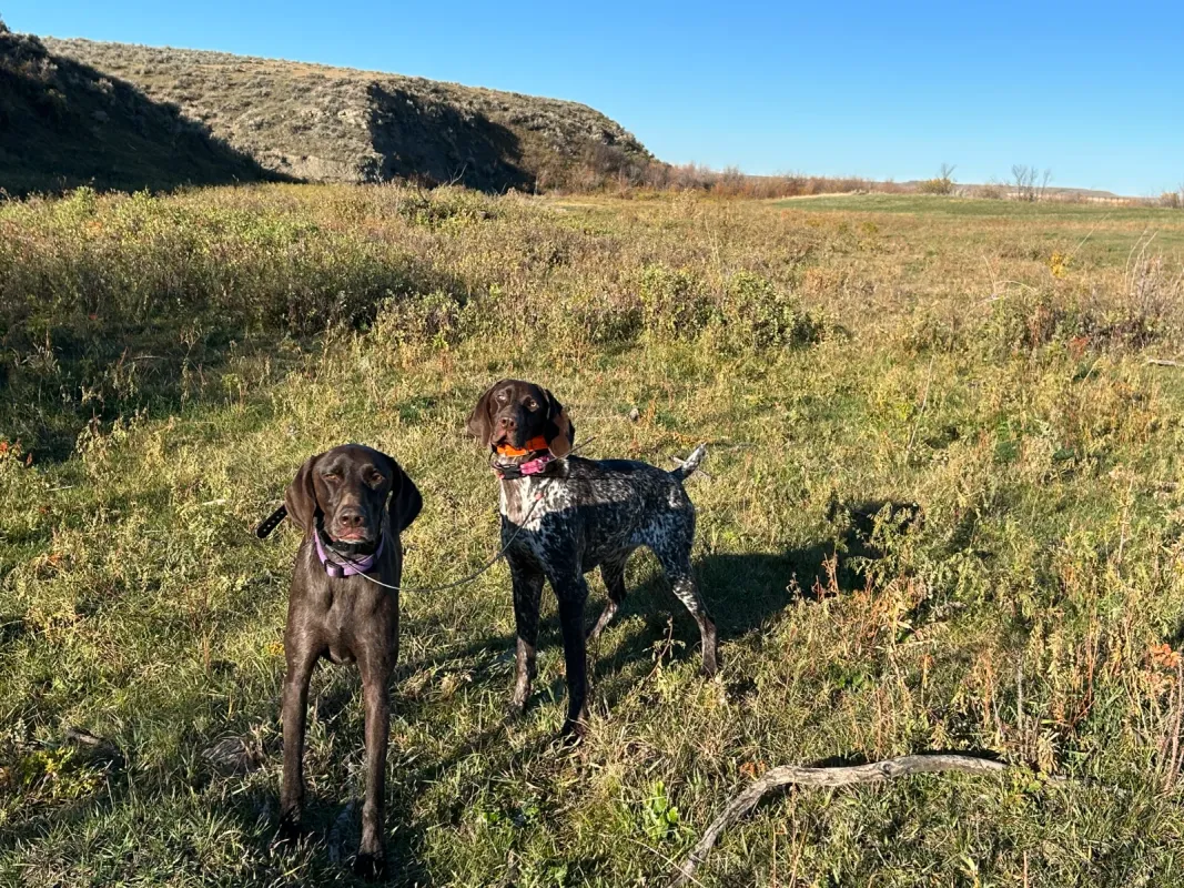 user_619bf01b-8758-4e54-b55b-d9319e6622fb_time_1762351124387_3.jpeg
