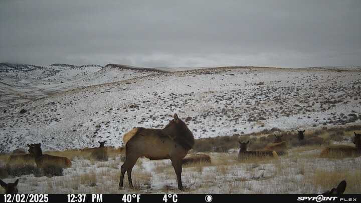 user_636c695e-71bf-47a6-b670-f009d22de5ee_time_1764725268176_4.jpeg