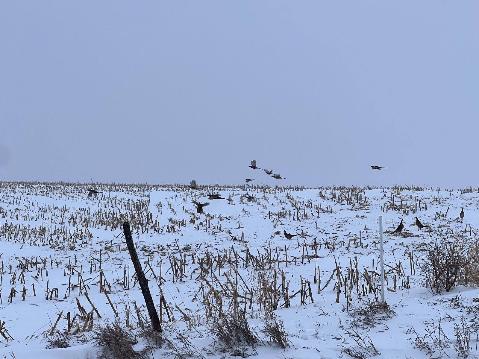 user_6451f185-4155-43b3-a987-bcc6983b1355_time_1764862429989_0.jpeg