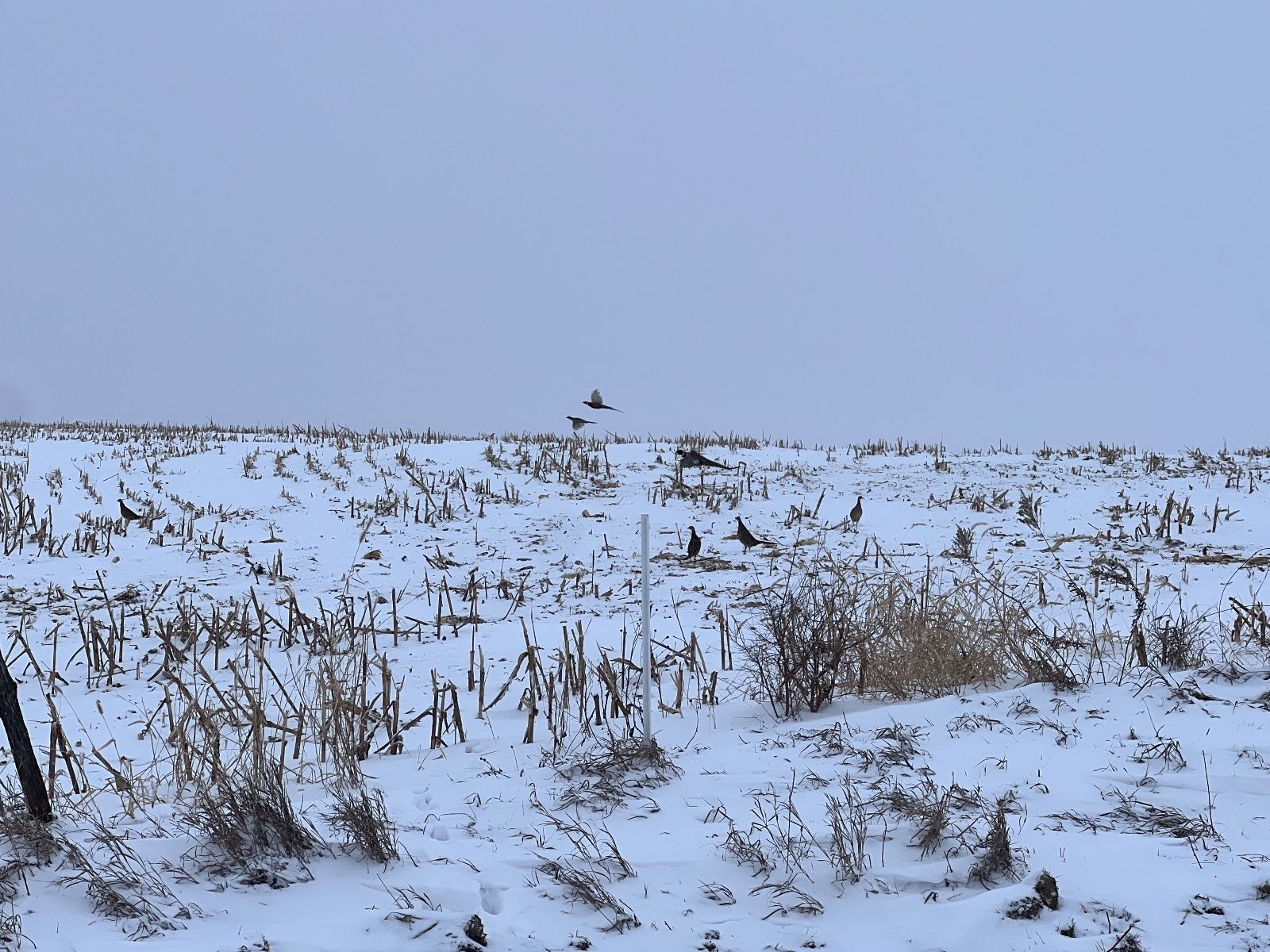 user_6451f185-4155-43b3-a987-bcc6983b1355_time_1764862429991_1.jpeg