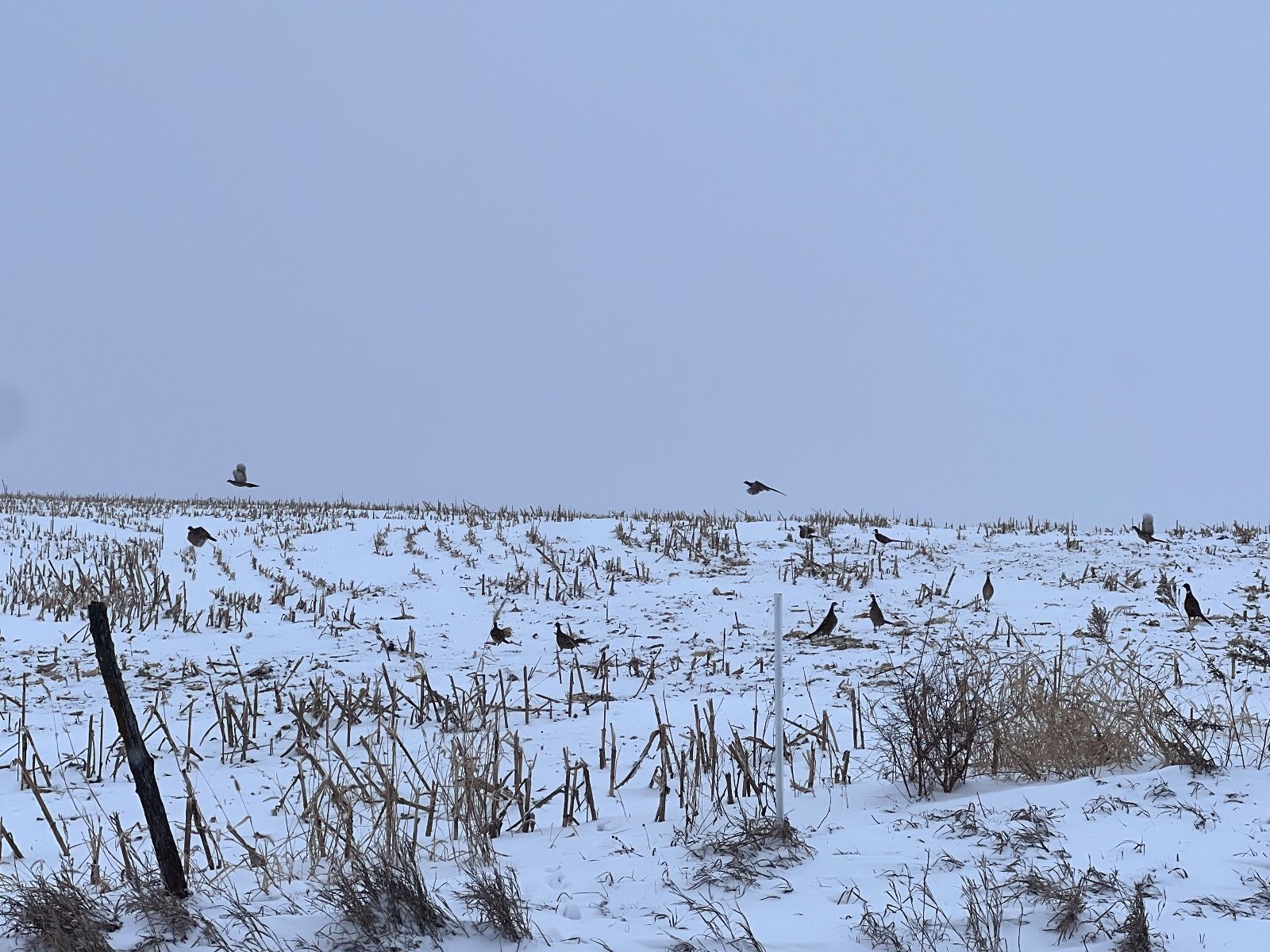 user_6451f185-4155-43b3-a987-bcc6983b1355_time_1764862429991_2.jpeg