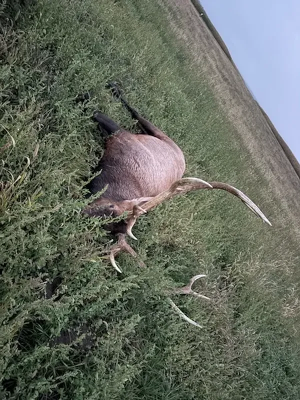 user_65e787ae-9538-4533-8ab0-74dd6b53731b_time_1791330655795_1.jpeg