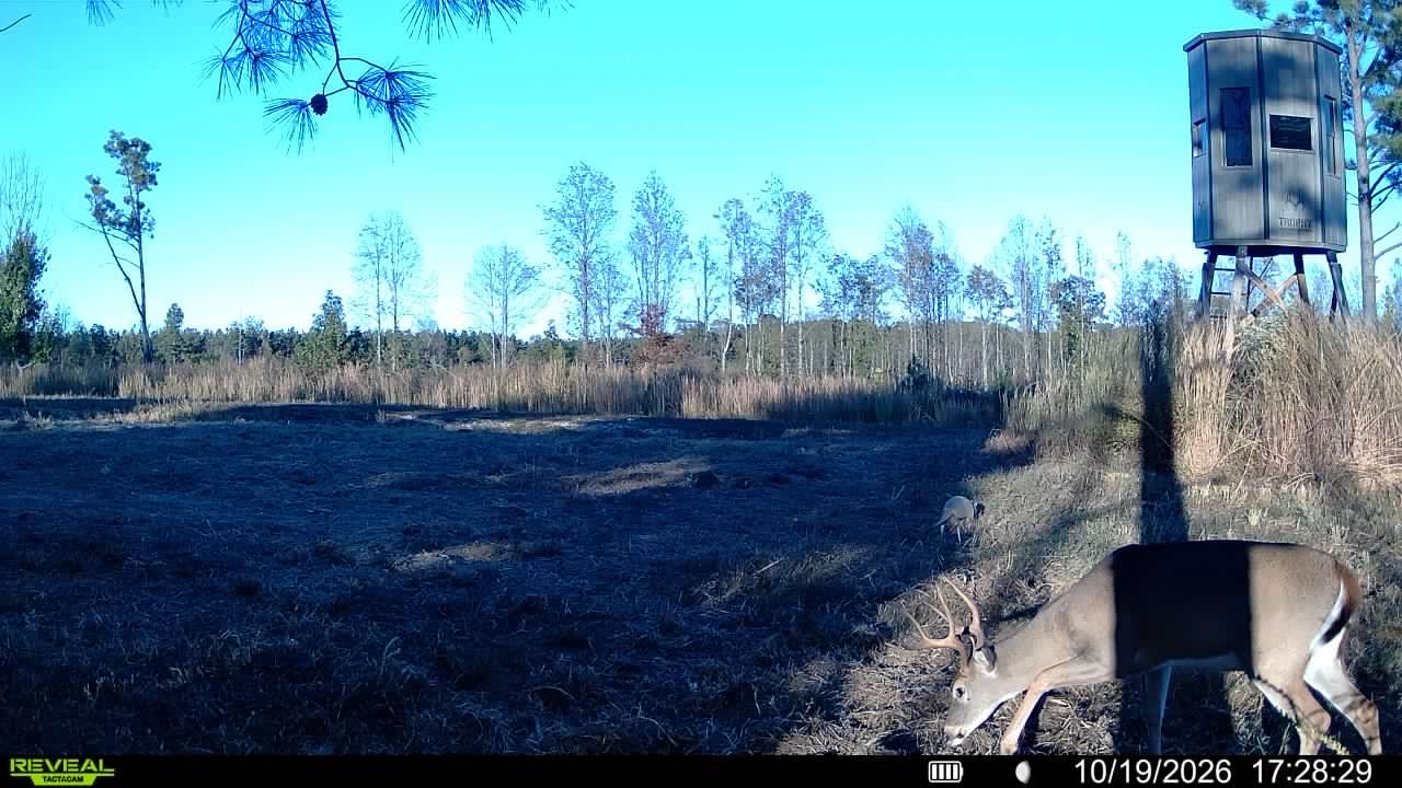 user_66996644-91d2-4fdd-bba7-1fe62d62231b_time_1792589539917_3.jpeg