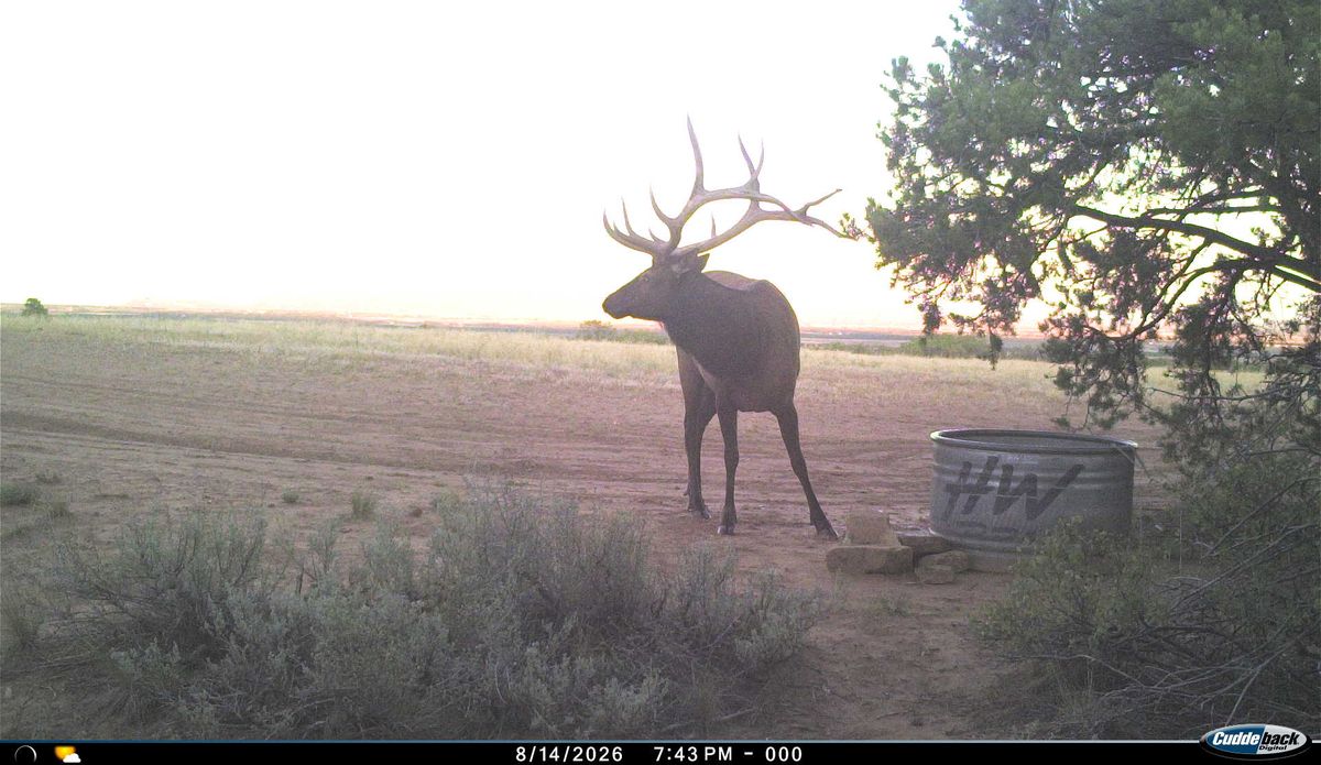user_67380024-717f-47b8-b62c-6a90092de9fa_time_1787195073219_0.jpeg