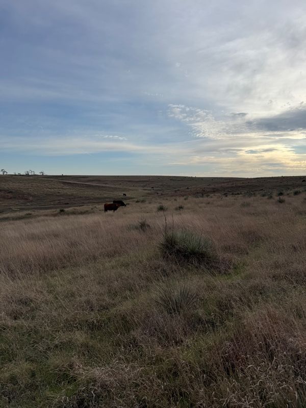 user_67aea333-e325-4620-a2bd-522c19f4e592_time_1792864553645_1.jpeg