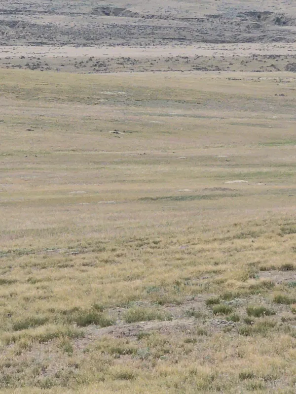 user_68cada7a-938f-45c5-a6a3-eb6059fb0aea_time_1783020728385_1.jpeg