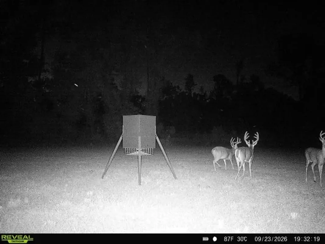 user_69d02cee-59b3-4818-9da9-70d00ff564fe_time_1790373187826_3.jpeg