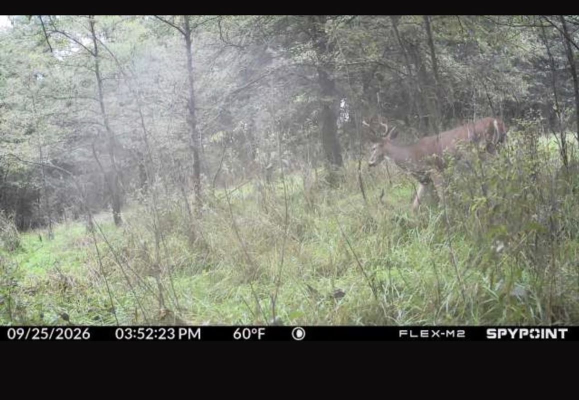 user_6aa5645c-ca97-4b58-a6a6-534e4ecb494d_time_1792635438967_2.jpeg