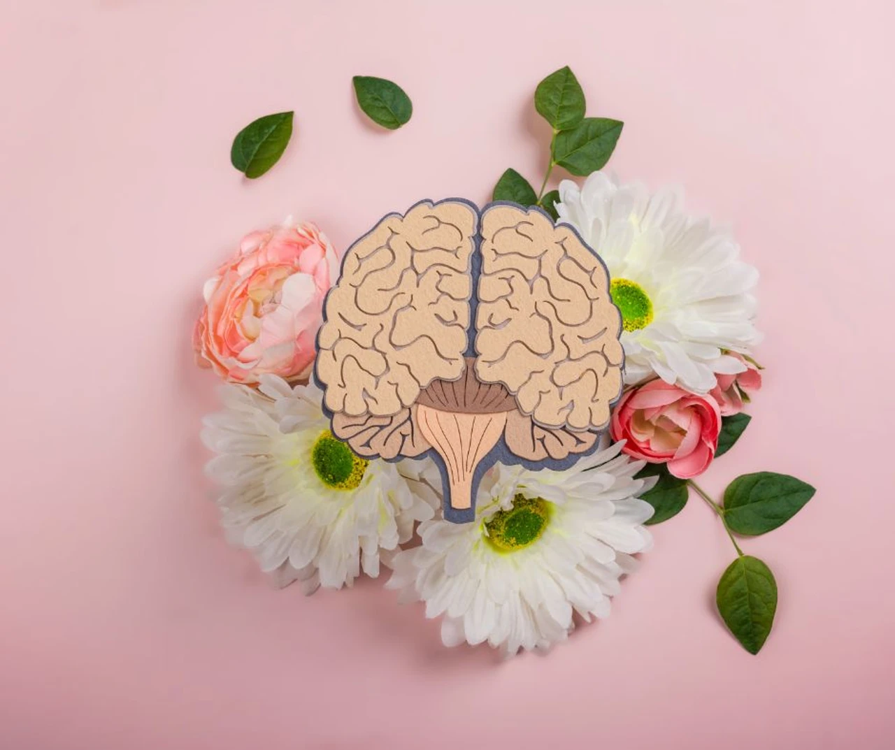 Camphin en Pévèle, sophrologie, Cysoing, Pévèle, Lille métropole Lilloise, Chéreng, Baisieux, Gruson, Mouchin, Bourghelles, Templeuve, Péronne en Mélantois, Bouvines, Anstaing, Tressin, Wannehain, Bachy, Genech, CCPC