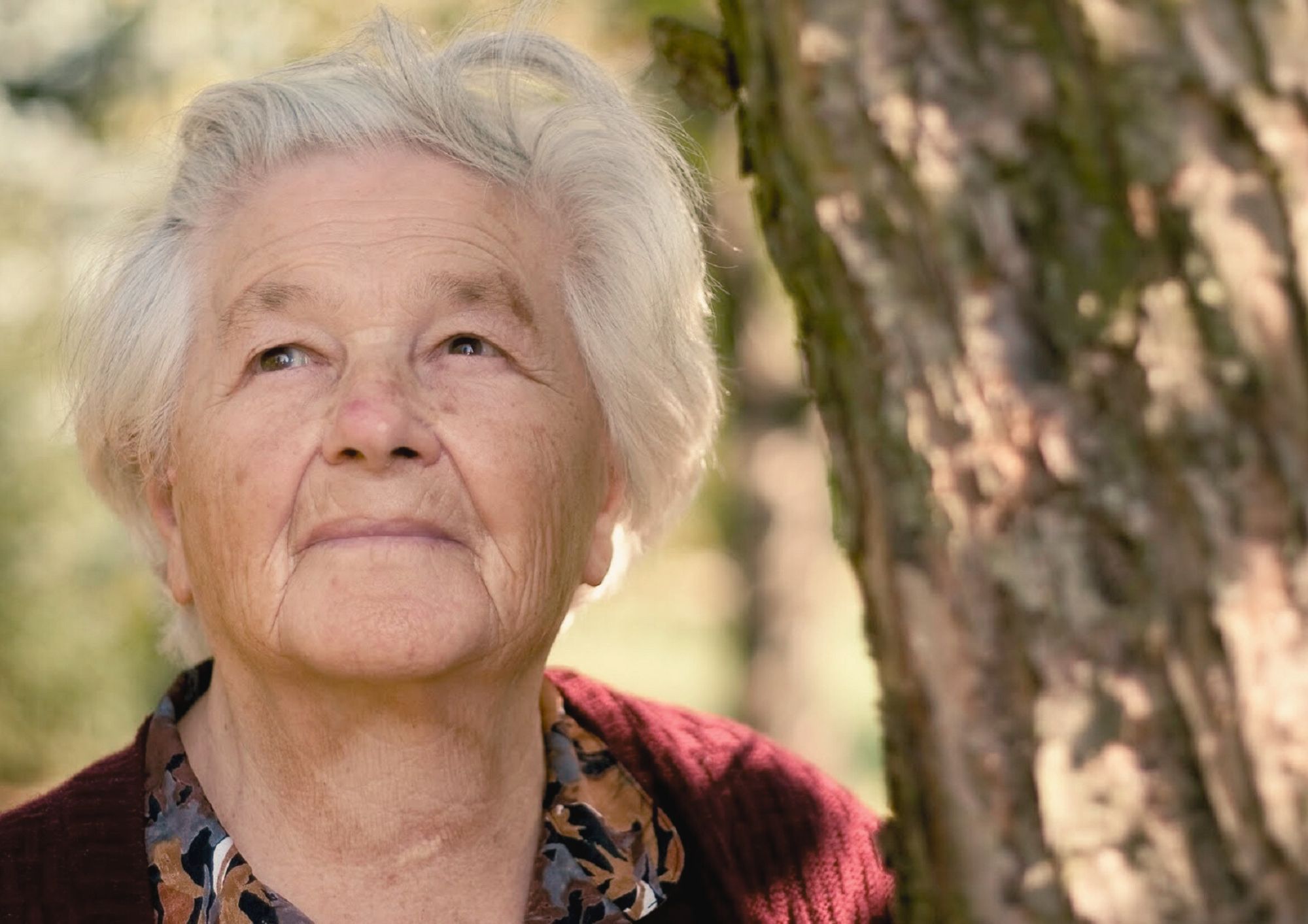 Stress sophrologie, Cysoing, Pévèle, Lille métropole Lilloise, confiance, Chéreng, Baisieux, Gruson, Mouchin, Bourghelles, Templeuve, Péronne en Mélantois, Bouvines, Anstaing, Tressin, Wannehain, Bachy, Genech, CCPC