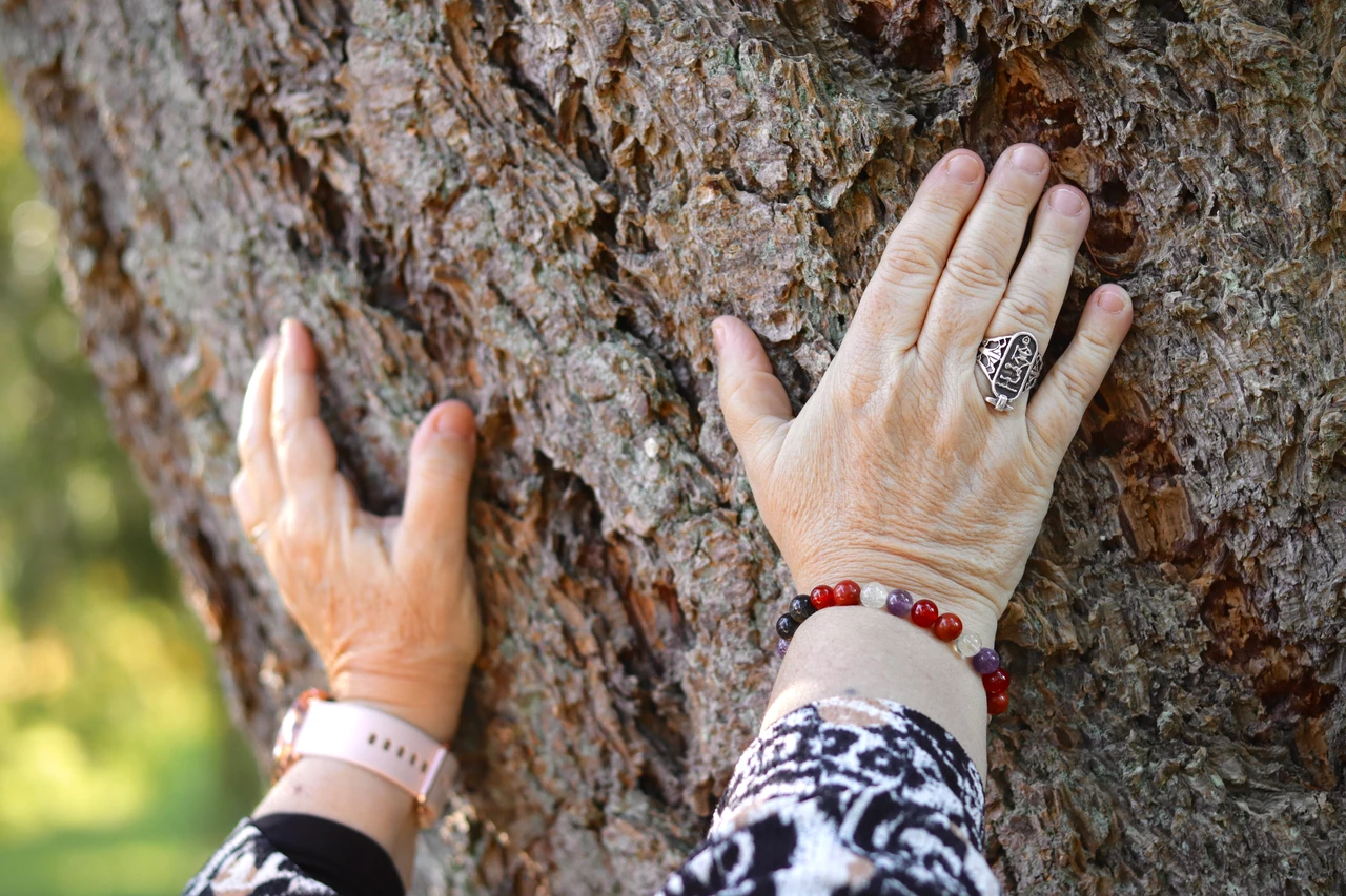 Le pouvoir des arbres