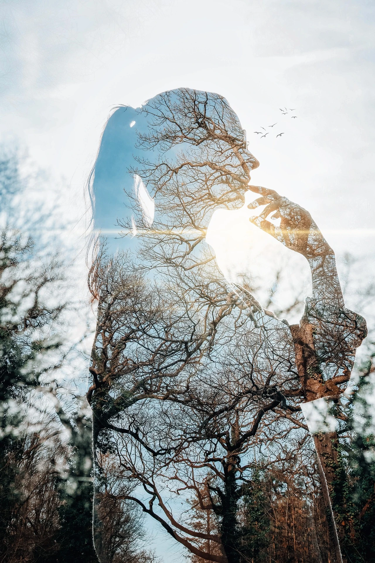 silhouette d'une femme avec des branches d'arbres, symbolisant les influences de la famille, des expériences, de l'entourage. Pour illustrer l'article sur les blessure, les croyances. Par Emilie Bochereau Magnétiseuse et Sophrologue à Mûrs-Érigné