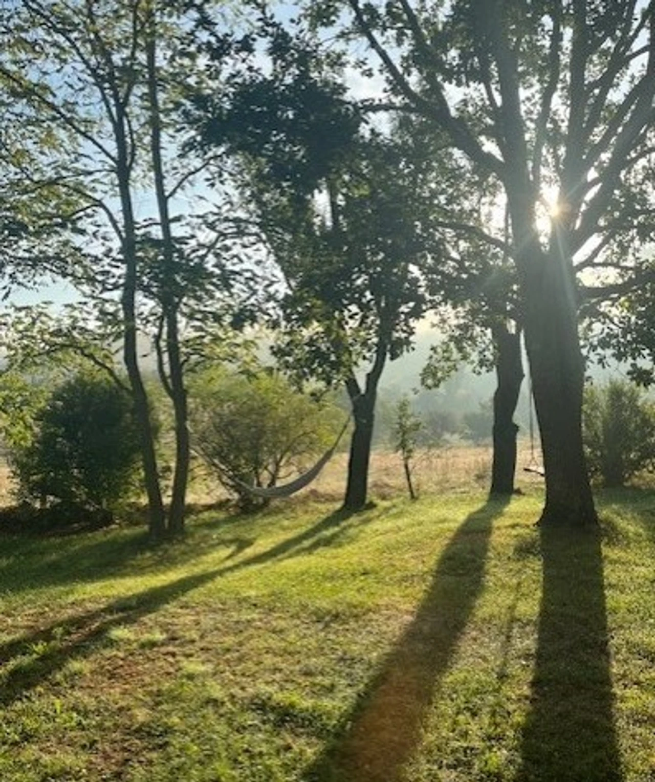 Corinne Macone - Thérapeute - Intelligence du lien - Villemus - Hypersensibilité - Illustration de la différence entre sensation et émotion pour sortir de l'isolement, de la solitude et du rejet.