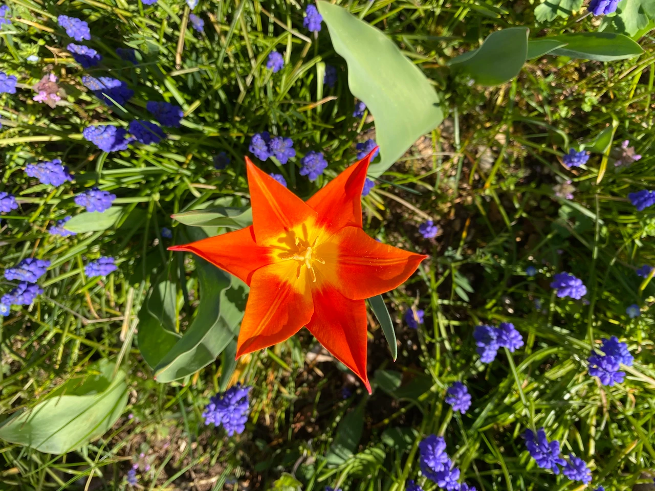 Sophrologie femmes Lucile Renaud