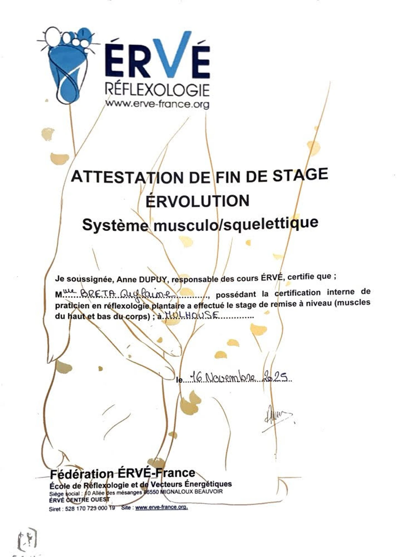 Troubles musculo squelettiques du bas du corps