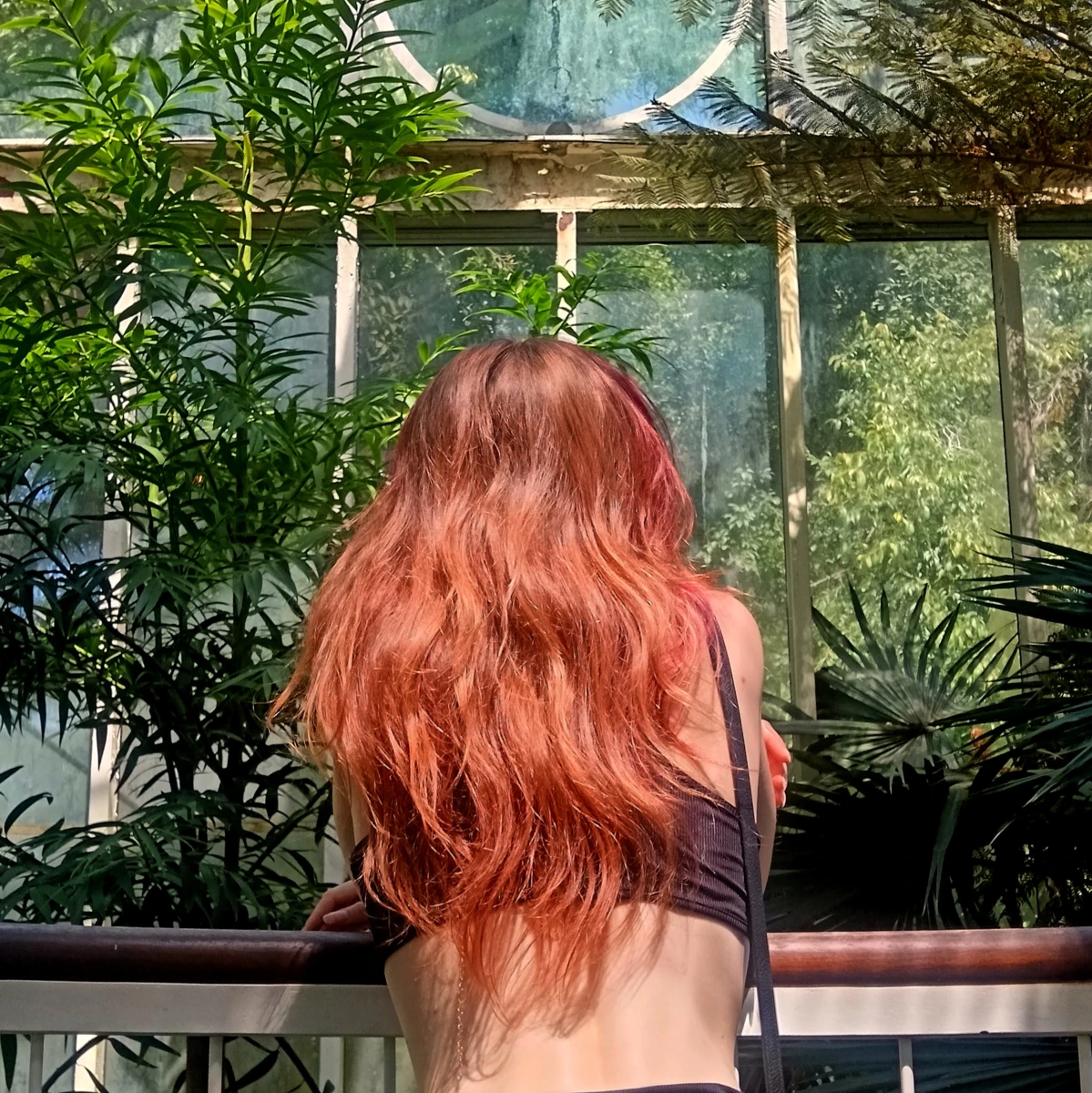 Parcours et Formation