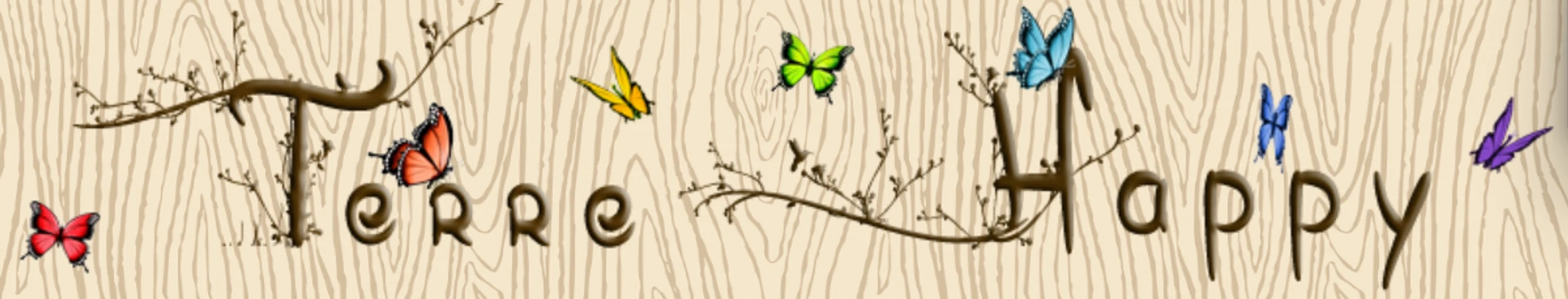 TERRE HAPPY  Cabinet de thérapie