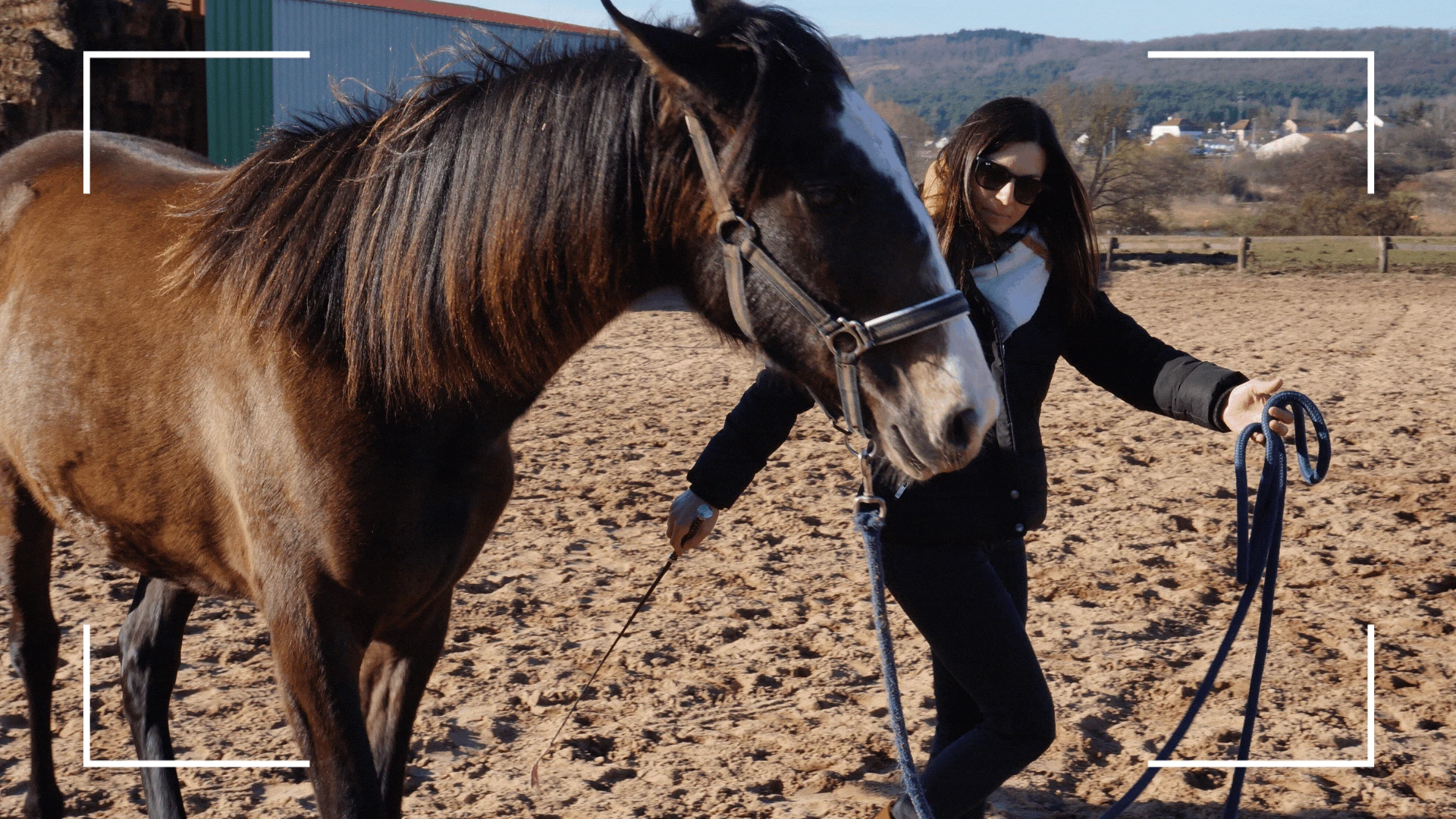 Equi Sophro en séance individuelle 🐎