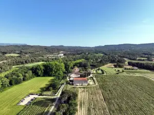 Elegant Vineyard Estate in Provence for Events
