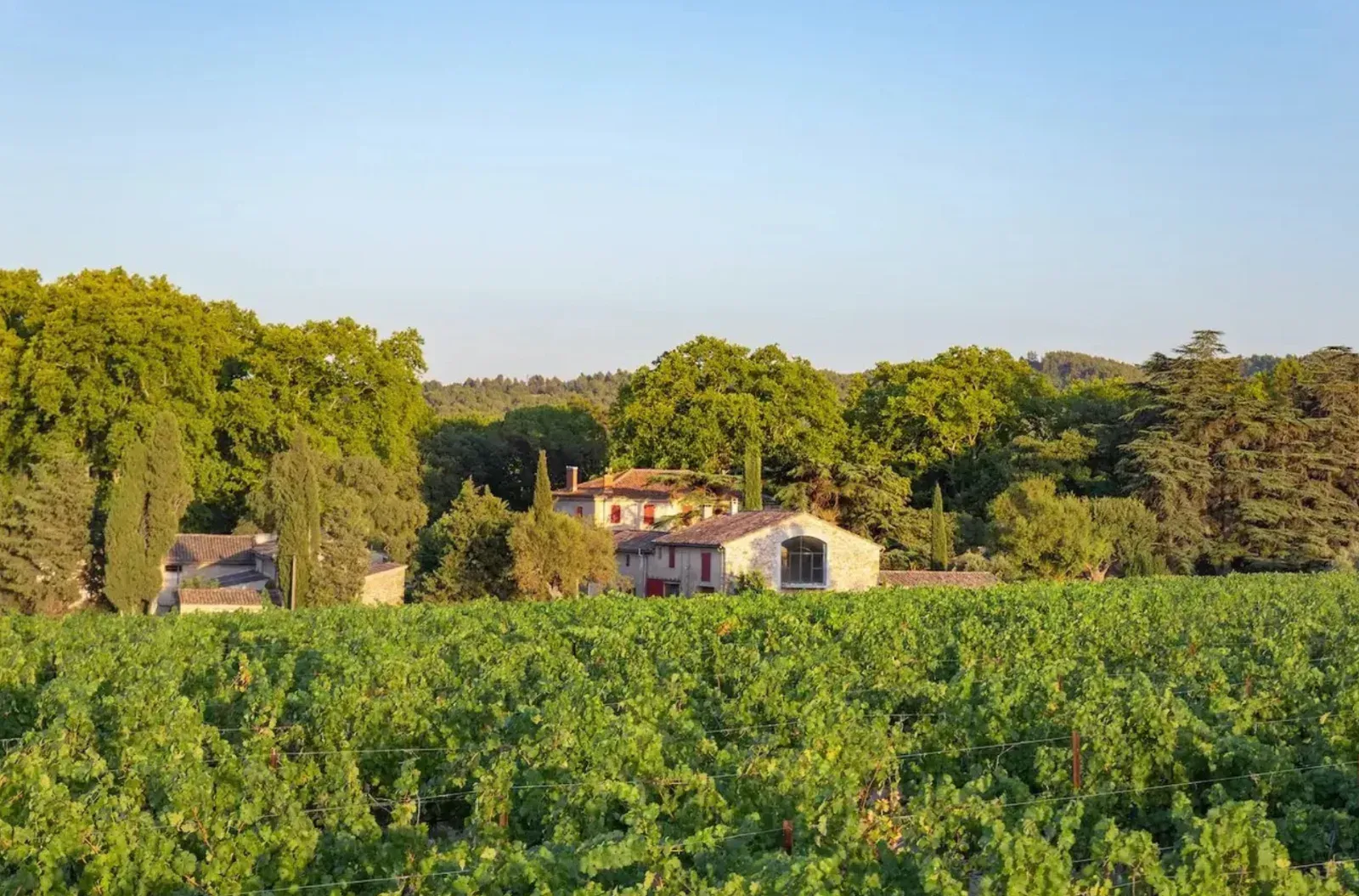 Domaine viticole élégant en Provence pour événements