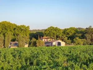 Elegant Vineyard Estate in Provence for Events
