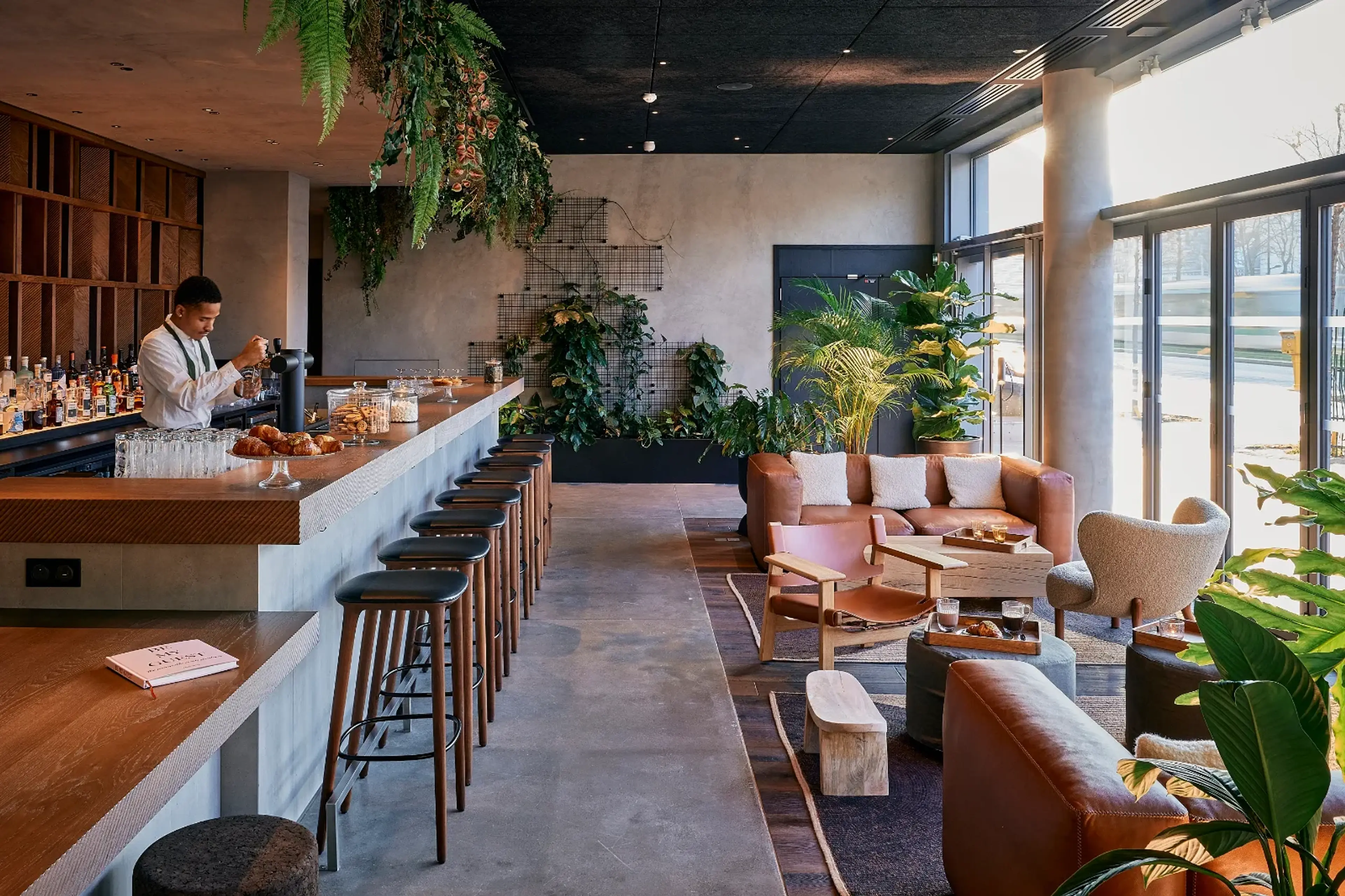 RDC (Patio + Galerie du Patio + Bar + Terrasse)