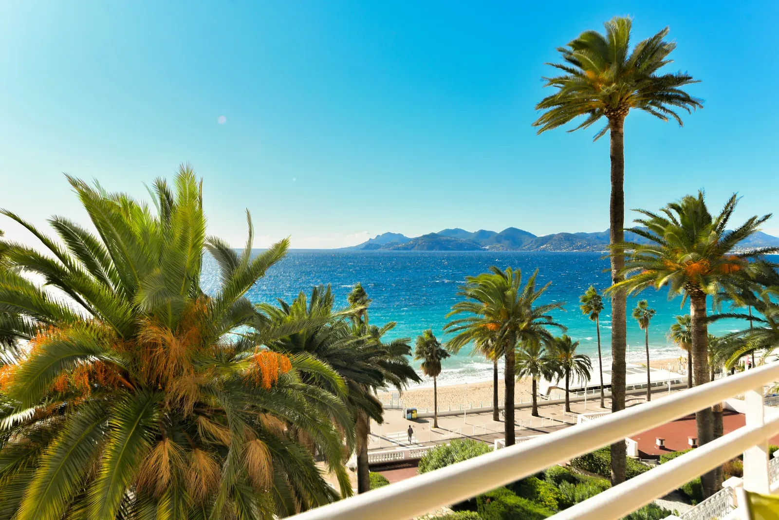 Sea View Apartment Near Midi Beaches in Cannes