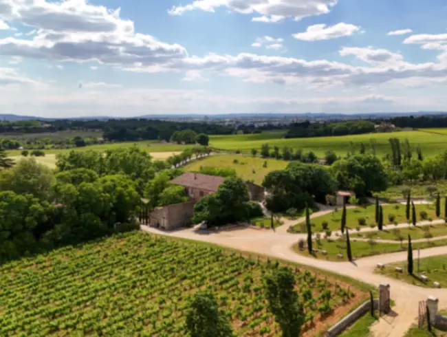 Domaine viticole près de Montpellier pour événements et réceptions