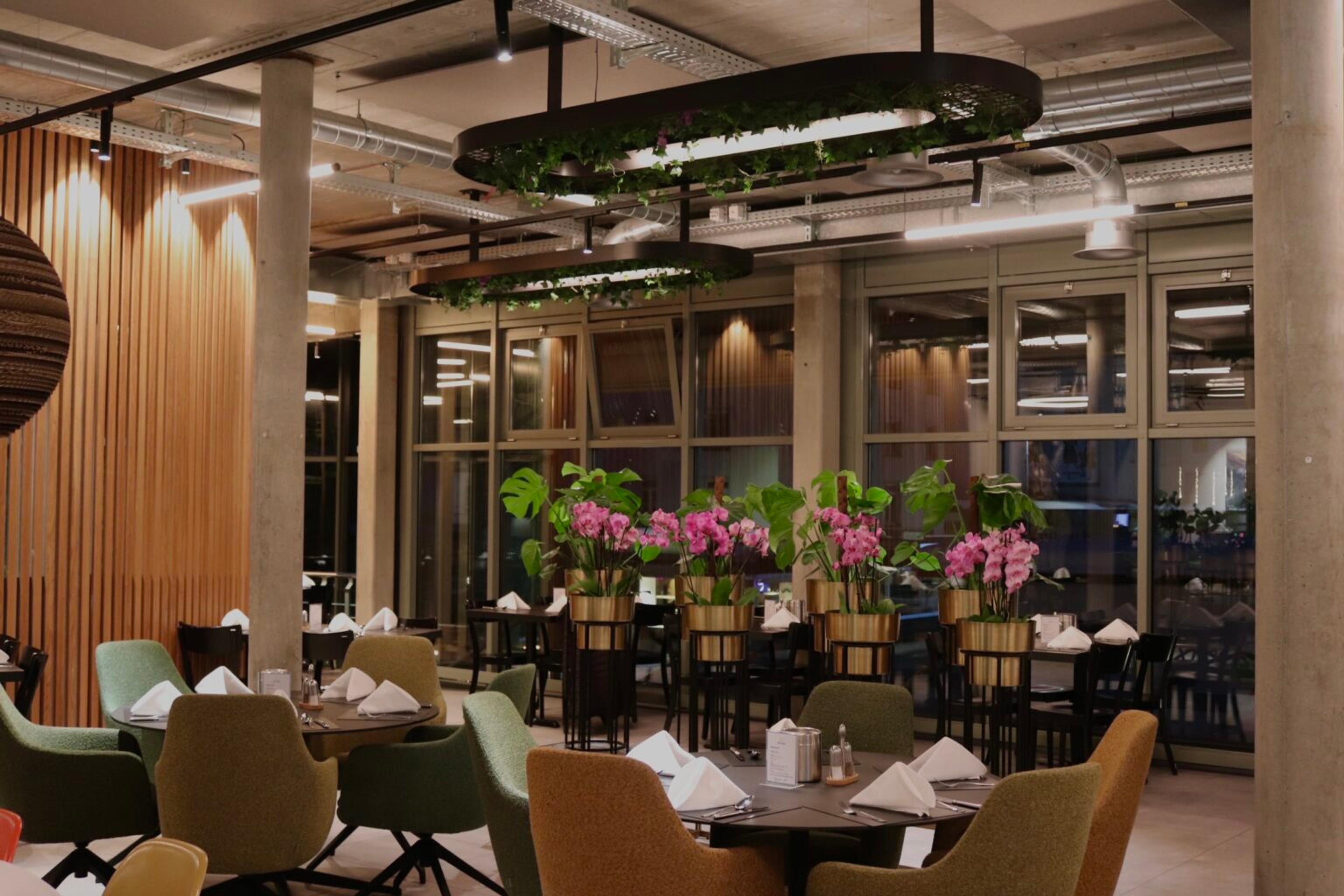 Zauberberg Thai Restaurant 