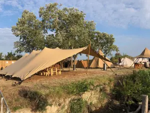 Espace extérieur de 20 hectares pour événements à Sadirac