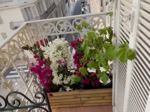 Deux appartements de 2 chambres près de la Croisette à Cannes