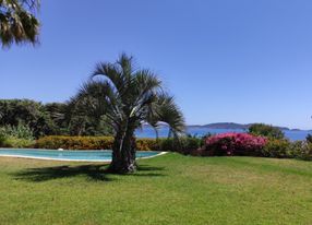 Magnificent garden with sea view