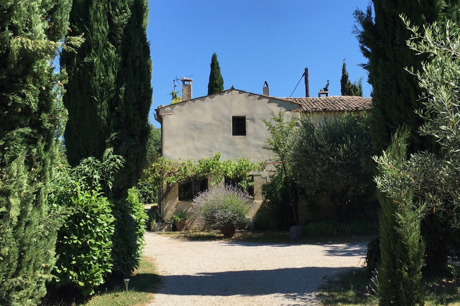 Provencal farmhouse with swimming pool and interior courtyard