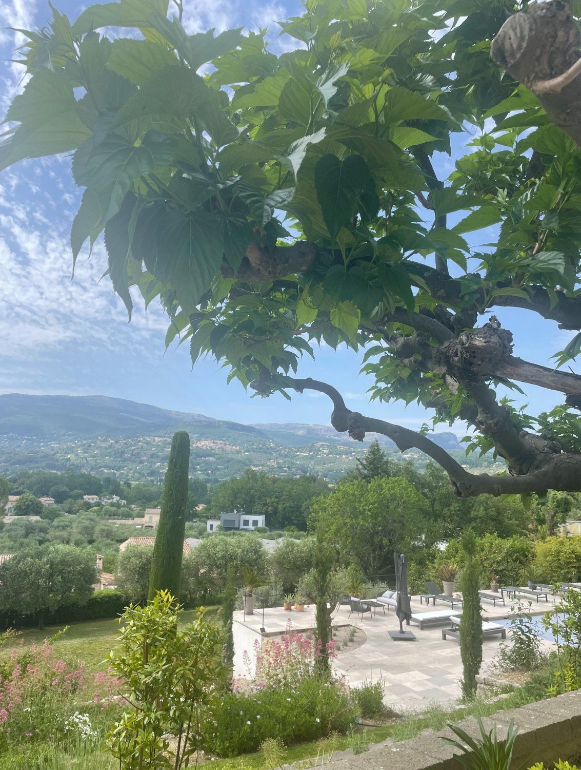 Garden and swimming pool in a charming residence in the heart of the Riviera hinterland
