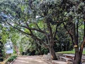 Villa with garden and meeting room in Sophia Antipolis